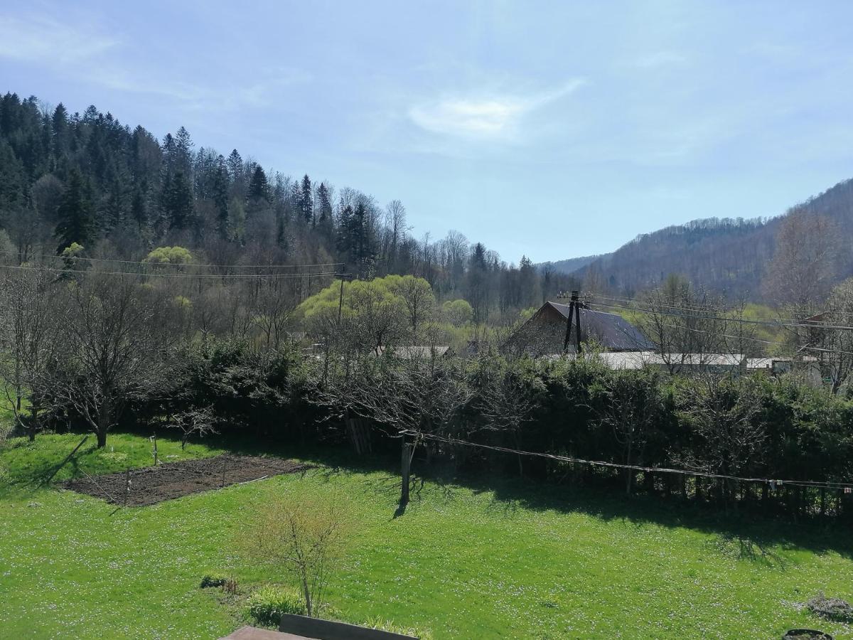 Agroturystyka Pod Kasztanem Lutowiska Exteriör bild